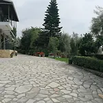 Alexia * Nidrí