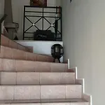 Alexia * Nidrí