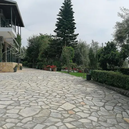 Alexia * נידרי