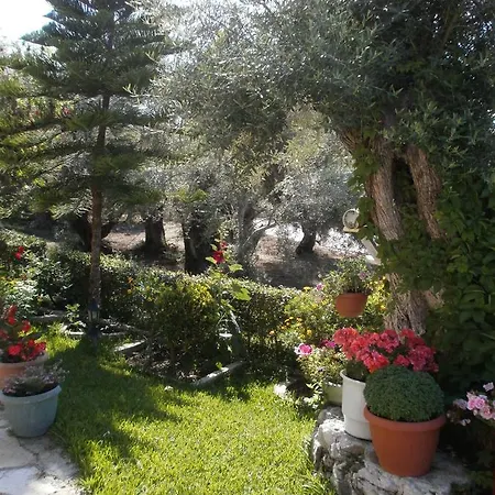 Alexia נידרי